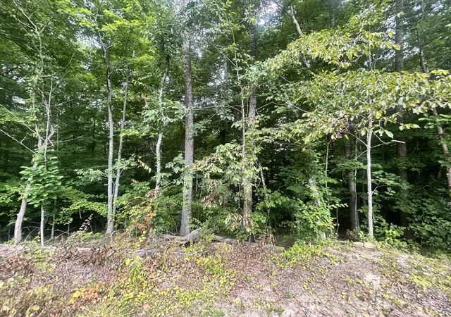 Homes for sale in Whitley City, KY | Tract 68-70 Cd Dogwood Dr, Whitley City, KY 42653 | MLS# 26016564