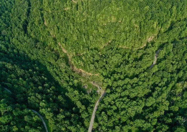 Photo 2 of Land for sale at 0 Oscar Wagers Rd, Manchester, KY 40962 | MLS# 26014836 | Listing updated on 2026-08-26
