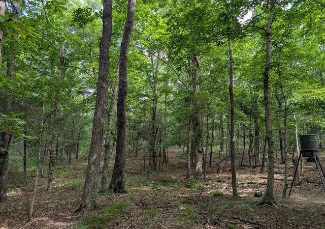 Homes for sale in Marion, KY | 4115 Acres State Hwy 506, Marion, KY 42064 | MLS# 26014792