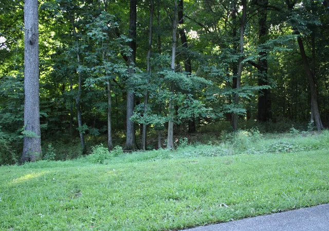Homes for sale in Eddyville, KY | Lot #73 & #74 Rolling Mill Rd, Eddyville, KY 42038 | MLS# 26016072