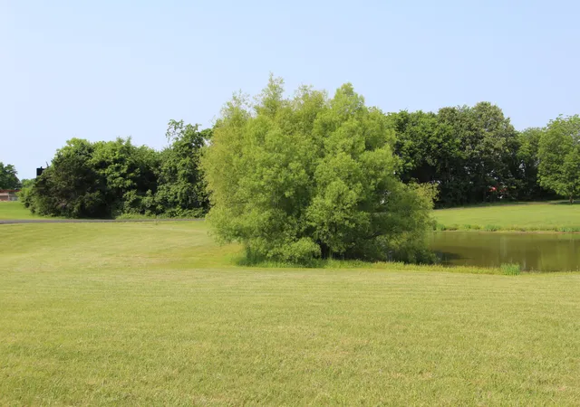 Homes for sale in Benton, KY | Lot 1 Eagle Lake Dr, Benton, KY 42025 | MLS# 26016074