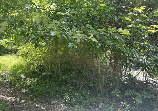 Homes for sale in Corbin, KY | 00 E Lewis St #00, Corbin, KY 40701 | MLS# 26015039