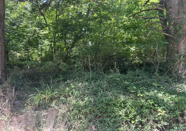 Photo 3 of Sale Pending at 00 E Lewis St #00, Corbin, KY 40701 | MLS# 26015039 | Listing updated on 2026-10-13