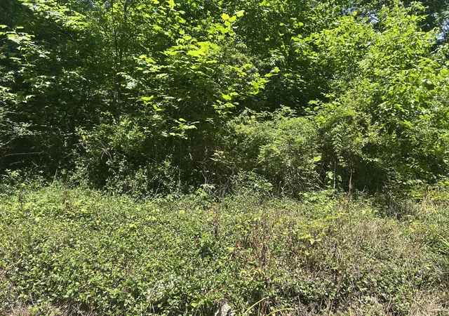 Homes for sale in Corbin, KY | 00 E Lewis St #00, Corbin, KY 40701 | MLS# 26015039