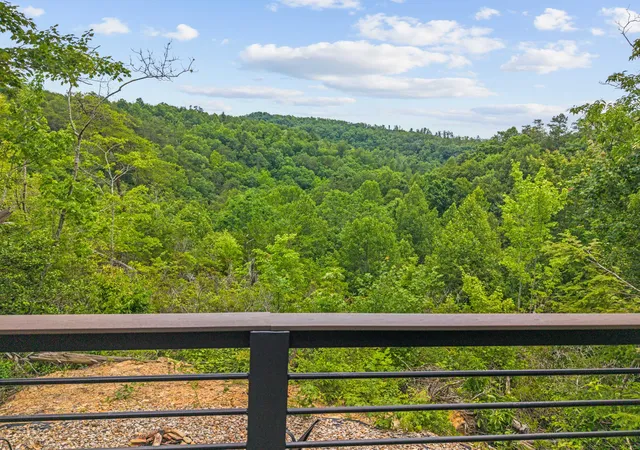 Homes for sale in Stearns, KY | 711 Worley Hill Top Rd, Stearns, KY 42647 | MLS# 26015087