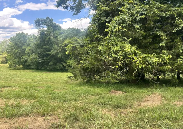 Homes for sale in Burkesville, KY | 7 Ruel Glidewell Rd, Burkesville, KY 42717 | MLS# 26015036
