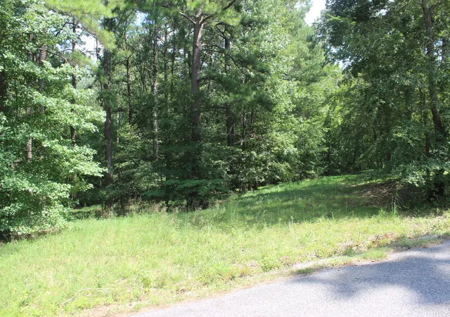 27th image of 15 Harborview Ln, Benton, KY 42025 | MLS# 26016449