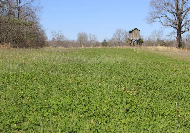 Homes for sale in Princeton, KY | 0 Edwards Rd, Princeton, KY 42445 | MLS# 26016434