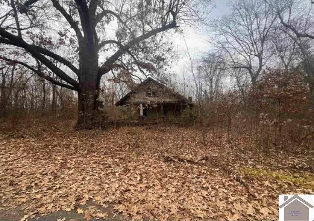 Homes for sale in Arlington, KY | 18 Central St, Arlington, KY 42021 | MLS# 26015119