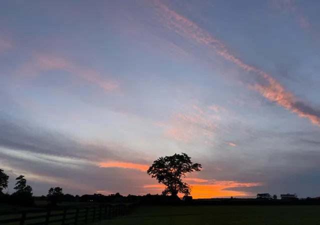3rd image of 136 Lloyd Rd #LOT 8, Georgetown, KY 40324 | MLS# 26015853