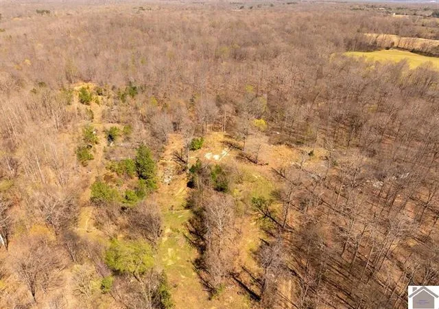 Photo 3 of Land for sale at 206 Stonebrook Ln, Benton, KY 42025 | MLS# 26015213 | Listing updated on 2026-06-28