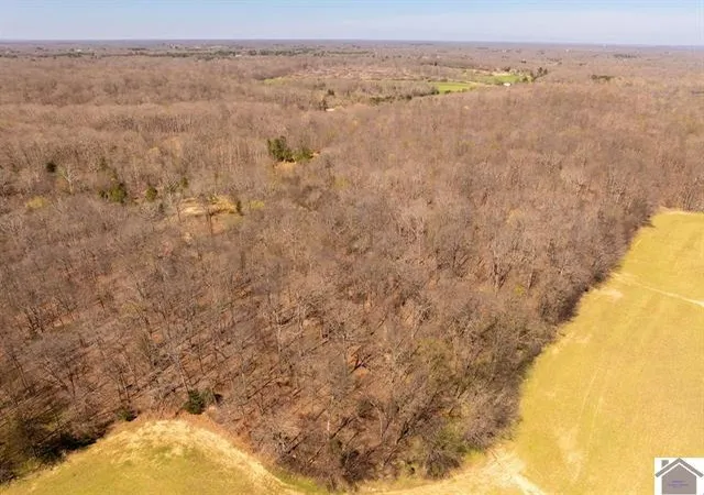 Photo 4 of Land for sale at 206 Stonebrook Ln, Benton, KY 42025 | MLS# 26015213 | Listing updated on 2026-06-28