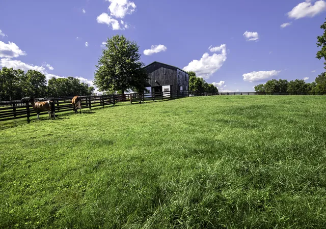 1st image of 650 Delaney Ferry Rd, Versailles, KY 40383 | MLS# 26015274