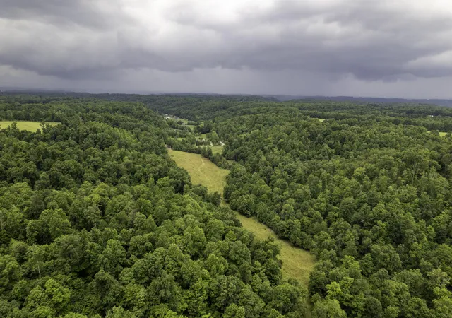 Photo 2 of Land for sale at 2000 Gosser Ridge Rd, Liberty, KY 42539 | MLS# 26015279 | Listing updated on 2026-07-13