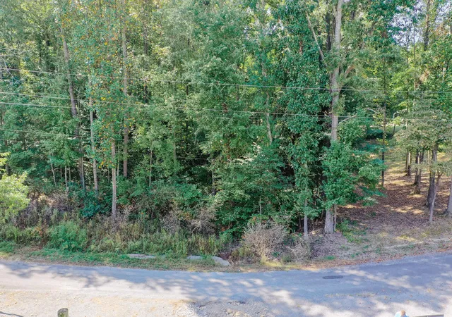 Homes for sale in Cadiz, KY | Lot 81 Rockcastle Lakeshore Dr, Cadiz, KY 42211 | MLS# 26015326