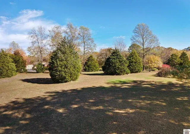 35th image of 92 Timmons Ln, Gilbertsville, KY 42044 | MLS# 26015937