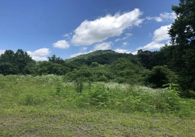 Photo 3 of Land for sale at 2251 S Highway 421, Manchester, KY 40962 | MLS# 26015382 | Listing updated on 2026-07-16