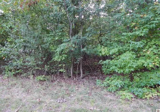 Homes for sale in Eddyville, KY | Lot 44 Forest Ln, Eddyville, KY 42038 | MLS# 26015719