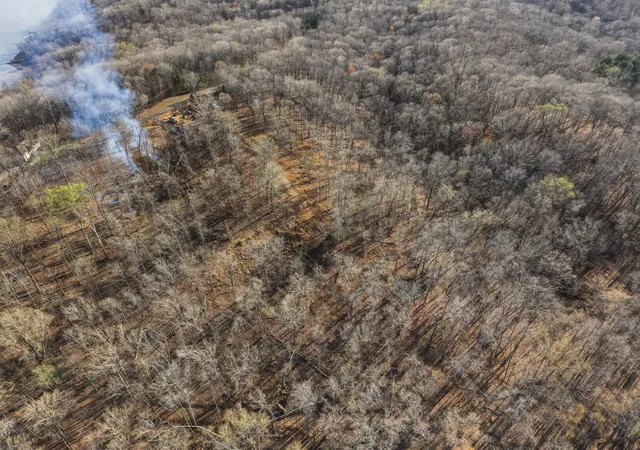 Photo 3 of Land for sale at 00 Red Oak Ln, New Concord, KY 42076 | MLS# 26015501 | Listing updated on 2026-06-30