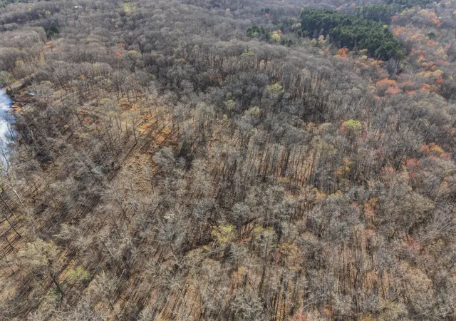 Photo 4 of Land for sale at 00 Red Oak Ln, New Concord, KY 42076 | MLS# 26015501 | Listing updated on 2026-06-30