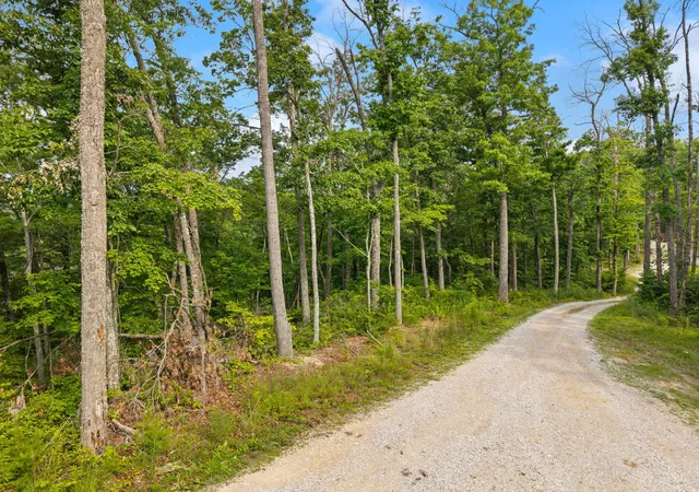 Homes for sale in Frenchburg, KY | 894 Heavenly Ln, Frenchburg, KY 40322 | MLS# 26015549