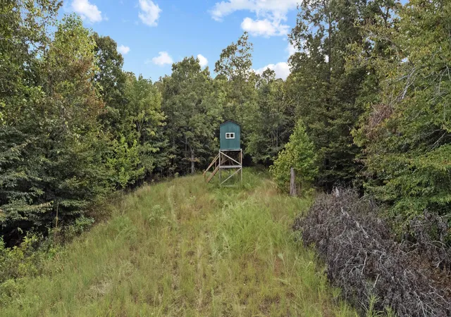 16th image of 000 Rockcastle Rd, Cadiz, KY 42211 | MLS# 26017828