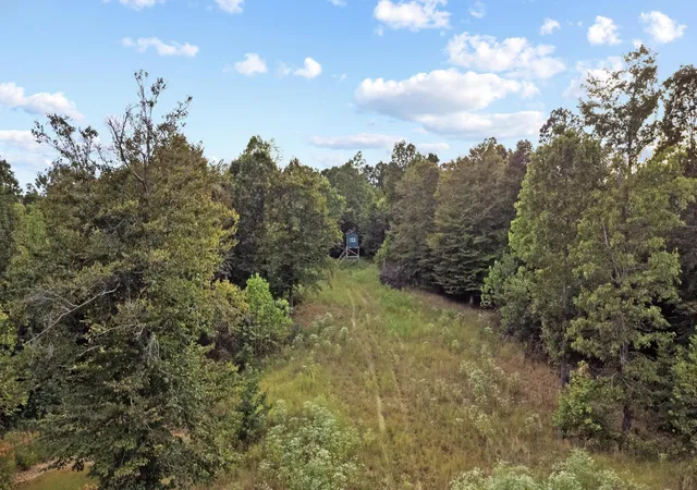 2nd image of 000 Rockcastle Rd, Cadiz, KY 42211 | MLS# 26017828