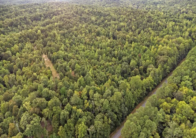 5th image of 000 Rockcastle Rd, Cadiz, KY 42211 | MLS# 26017828