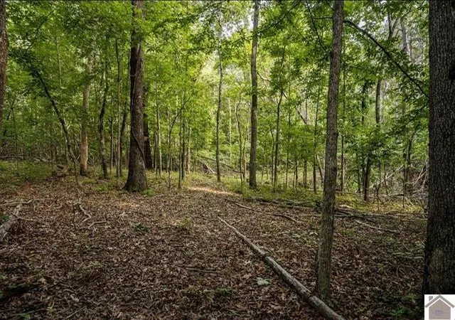 Photo 3 of Land for sale at 6974 Aurora Hwy, Benton, KY 42025 | MLS# 26015562 | Listing updated on 2026-09-08