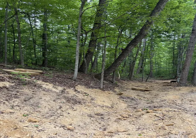 Homes for sale in Beattyville, KY | Lot 163 Ashland Camp Loop, Beattyville, KY 41311 | MLS# 26015875