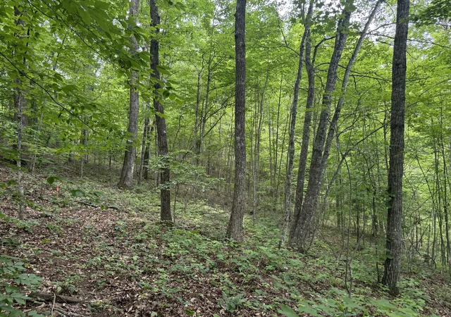 Photo 3 of Land for sale at Lot 163 Ashland Camp Loop, Beattyville, KY 41311 | MLS# 26015875 | Listing updated on 2026-07-02