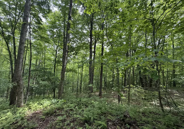 Photo 4 of Land for sale at Lot 167 Ashland Camp Loop, Beattyville, KY 41311 | MLS# 26015870 | Listing updated on 2026-07-02