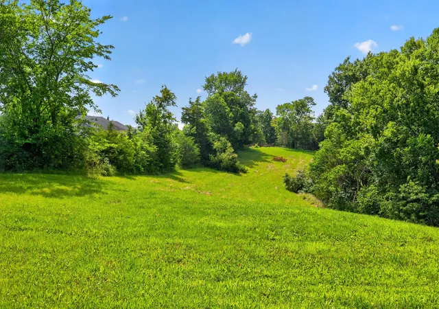 Photo 4 of Sale Pending at 0000 Frogtown Rd, Sadieville, KY 40370 | MLS# 26015690 | Listing updated on 2026-07-05