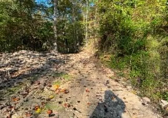 Homes for sale in Blaine, KY | 1003 Wilber Hill Rd, Blaine, KY 41124 | MLS# 26015688