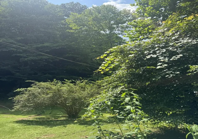 Photo 1 of Land for sale at 464 Big Branch Rd, Jackson, KY 41339 | MLS# 26015699 | Listing updated on 2026-07-01