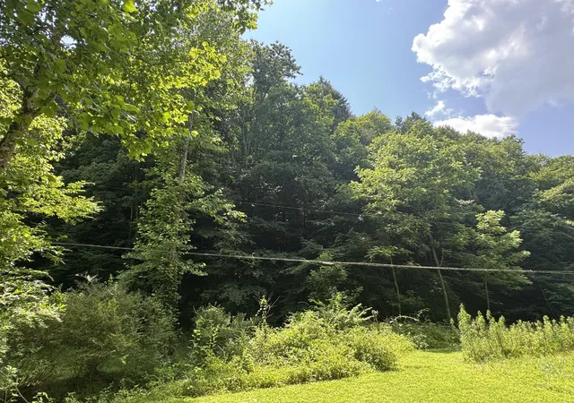 Photo 2 of Land for sale at 464 Big Branch Rd, Jackson, KY 41339 | MLS# 26015699 | Listing updated on 2026-07-01