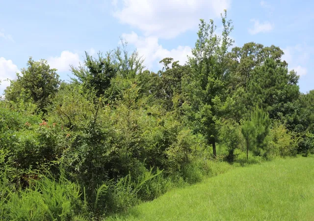 Photo 1 of Land for sale at Lot 58 Kirk Ridge Dr, Murray, KY 42071 | MLS# 26017569 | Listing updated on 2026-07-11