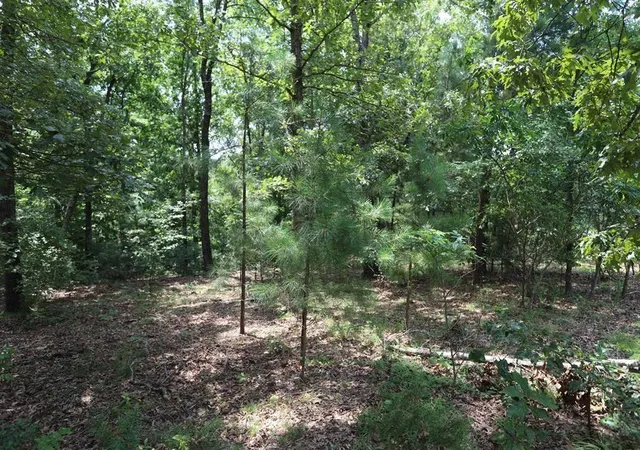 Homes for sale in Murray, KY | Lot 46 Waterfowl Ln, Murray, KY 42071 | MLS# 26017568