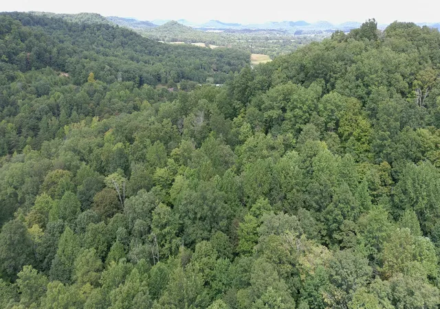 Homes for sale in Lebanon, KY | 1803 Fisher Creek Rd, Lebanon, KY 40033 | MLS# 26015714