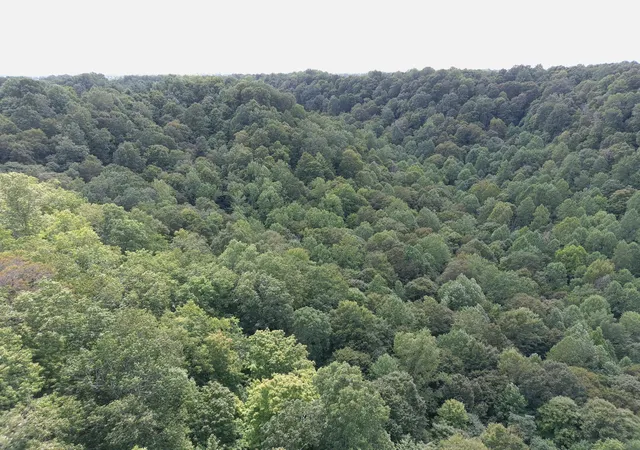 Homes for sale in Lebanon, KY | 1803 Fisher Creek Rd, Lebanon, KY 40033 | MLS# 26015714