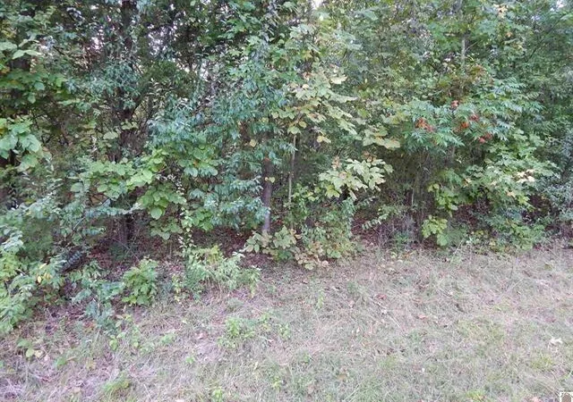 Homes for sale in Eddyville, KY | Lot 44 & 45 Forest Ln, Eddyville, KY 42038 | MLS# 26015741