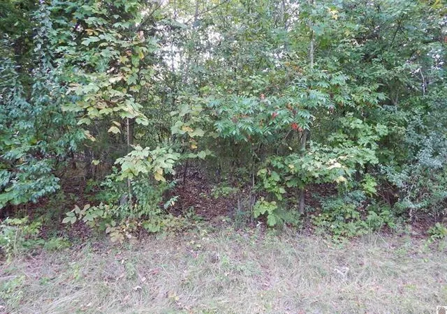 Homes for sale in Eddyville, KY | Lot 44 & 45 Forest Ln, Eddyville, KY 42038 | MLS# 26015741