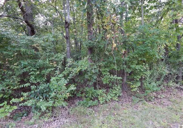 Homes for sale in Eddyville, KY | Lot 44 & 45 Forest Ln, Eddyville, KY 42038 | MLS# 26015741