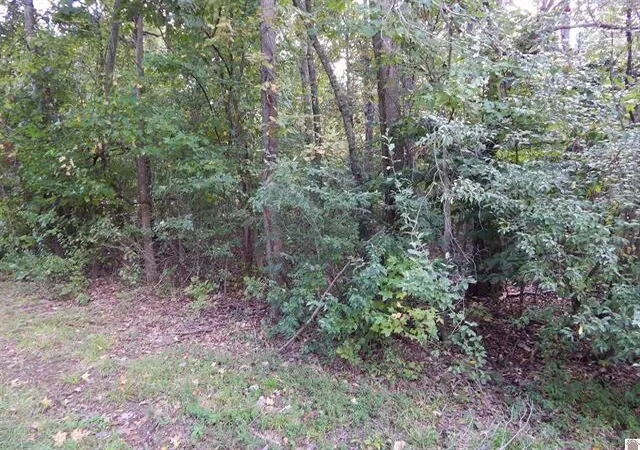 Homes for sale in Eddyville, KY | Lot 44 & 45 Forest Ln, Eddyville, KY 42038 | MLS# 26015741
