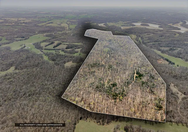 Photo 1 of Land for sale at 4220 4220 Will Jackson Rd Rd, Cadiz, KY 42211 | MLS# 26015771 | Listing updated on 2026-07-13