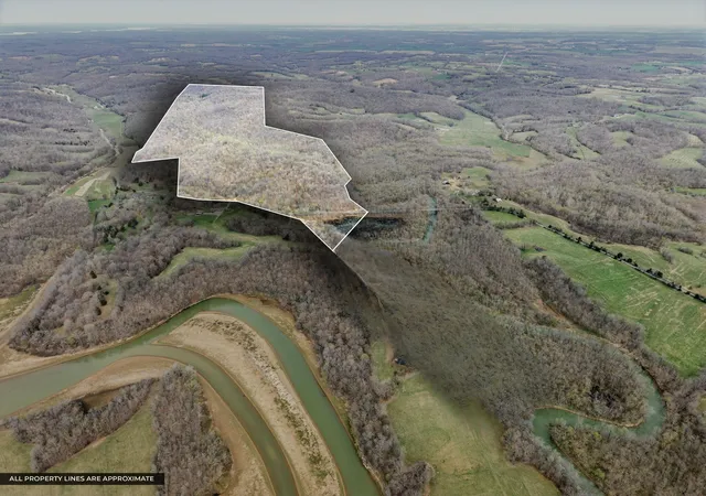 Photo 2 of Land for sale at 4220 4220 Will Jackson Rd Rd, Cadiz, KY 42211 | MLS# 26015771 | Listing updated on 2026-07-13
