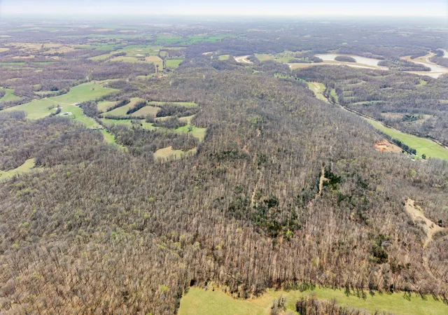 Photo 3 of Land for sale at 4220 4220 Will Jackson Rd Rd, Cadiz, KY 42211 | MLS# 26015771 | Listing updated on 2026-07-13