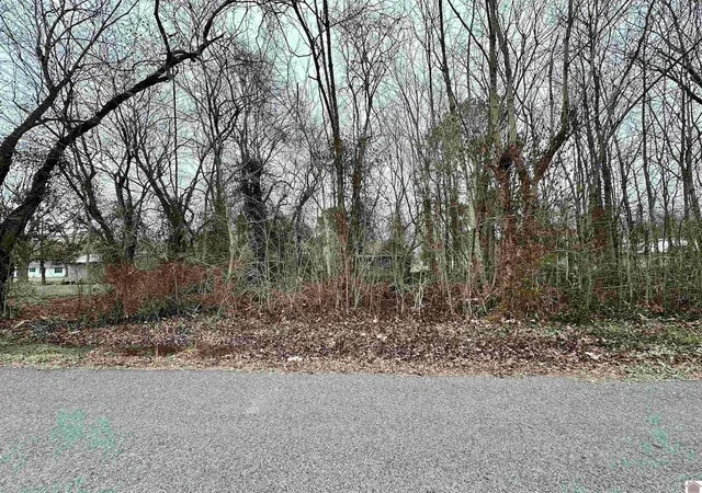7th image of 000 W First St, Gilbertsville, KY 42044 | MLS# 26015805