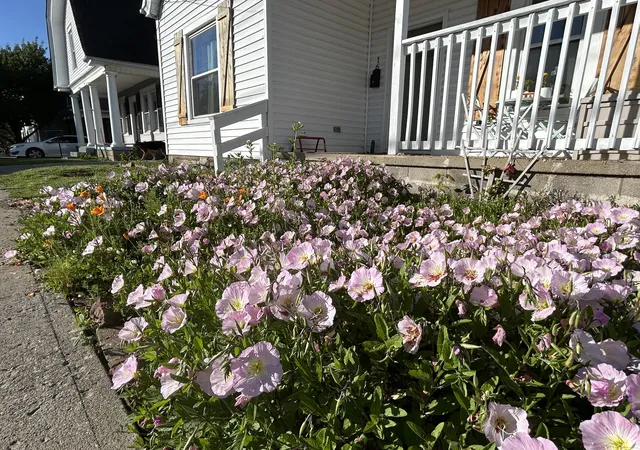 3rd image of 16 16Th St, Paris, KY 40361 | MLS# 26016029
