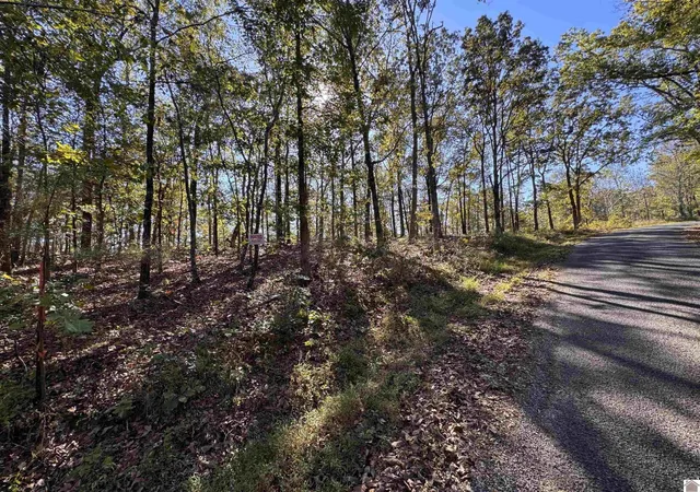 Homes for sale in New Concord, KY | 00 Ridge Rd, New Concord, KY 42076 | MLS# 26016755